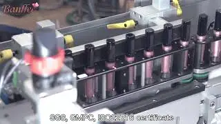 lipstick manufacturer 15 years experiences