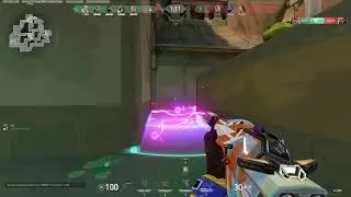 Killjoy Lotus2