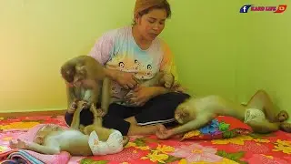Happy Kako Family Taking A Nap