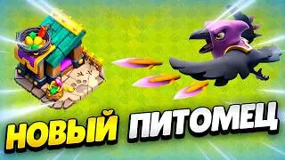 🐦&zwj; НОВЫЙ ПИТОМЕЦ: ЖАДНЫЙ ВОРОН В КЛЕШ ОФ КЛЕНС | КЛЕО CLASH OF CLANS