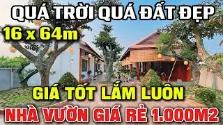 Tập 269 Quá Trời Quá Đất | NHÀ VƯỜN 1.000m2 LONG AN Giá Rẻ Trời | Hiếm Lâm Mới Có | Nhanh Mới Kịp !!
