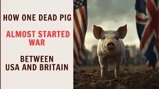 Как одна мертвая свинья чуть не стала причиной войны между США и Великобританией: Свиная война 18...