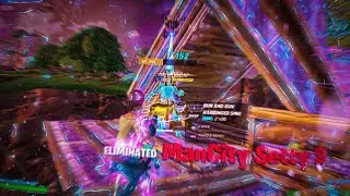 Amigo 👊 | Mini Pixie Highlights #47