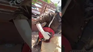 Free Little Bird - Electric Clawhammer