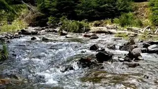 Floating Water Nature Calm sounds | calm sound #naturesound #calmsound #cool #floatingwater