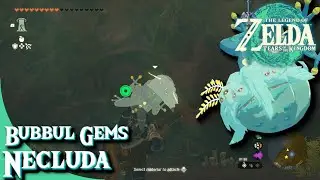 Necluda Region Bubbul Gems - The Legend of Zelda: TOTK [63]