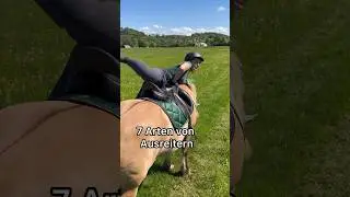 Welcher Typ Ausreiter seid ihr? 🌳 #ausreiten #ausritt #hacking #pferdem&auml;dchen #pferdeliebe