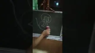 monkey make with 231