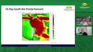 Wheat Looks for Demand; Vegetation Health Quite Strong in South America