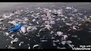 Plastic Solutions - spot
