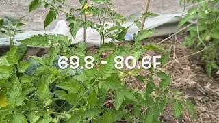 Post Heatwave Garden Cleanup! Very Satisfying to Get it Done! -  Reverse Homesteading