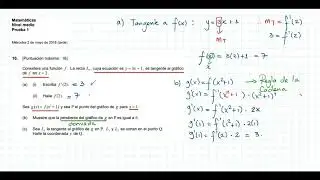 APLICACIONES DE DERIVADAS - IB