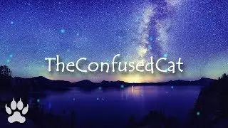 w00ds - d1st4nt