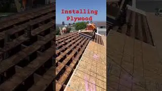 Installing plywood sheathing #roofing #OSBplywood#CDXppywood#roofer#fypyoutube