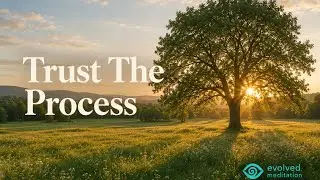 Trust the Universe - the Art of Surrender