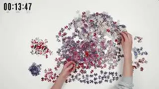 True Classics | 1000 Piece Ford Mustang Puzzle by Aquarius | Real Time Assembly