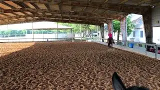 421- Kelly Kavanaugh and USS Mercedes horsemanship
