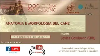 SEMINARIO ON LINE  - ANATOMIA E MORFOLOGIA DEL CANE, relatore JOVICA GULOBOVIC (SRB)