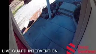 Deep Sentinel Live Security Stops Break in at Home as Mother and Newborn Horrified