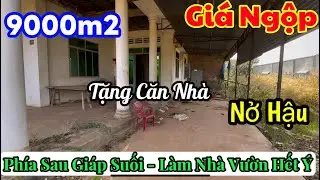 Chủ Kẹt Tiền Bán Gấp Hơn 9.000m² Đất Tặng Nhà Cấp 4 – Sau Nhà Giáp Suối, Không Gian Mát Mẻ Quanh Năm