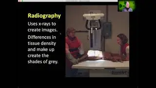 Veterinary Radiology Meeting