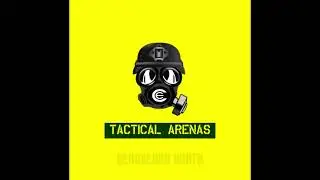 Military Simulation by Tactical Arenas a glimpse