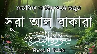 সূরা বাকারা শুনলে ঘরে আসে শান্তি ও সুরক্ষা | Most Powerful Surah Baqarah | Ahmed Al Shalabi