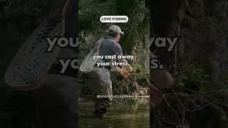 Fishing Quotes to Brighten Your Day! 🎣 #fishingislife #fishingdaily #fishingtime  #quotes
