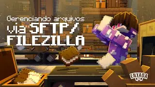 Como gerenciar os arquivos do servidor de Minecraft via SFTP/Filezilla - Tutorial EnxadaHost