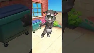 cat dance 🪩🩰 #cat #cute #cutecat #funny #music #bakwash #BAJWASH JOURNEY