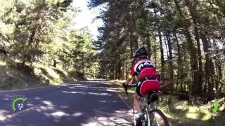 Up Mt  Constitution