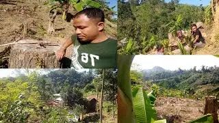 EXPLORED HILL OF TRIBAL LAND MAJESTIC JHUMMING cultivation OF HILLY Terrain