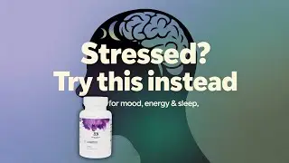 Zen: The Daily Supplement for Calm Energy & Sleep