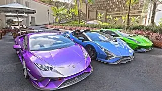 FH5 | Lamborghini Convoy Cruise - RTX 3060 - Steering Wheel Gameplay