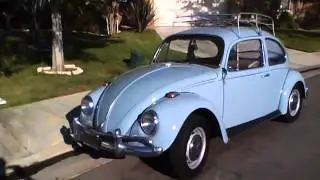 Super clean 1967 VW Bug Daily driver