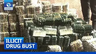 Illicit Drug Bust: NDLEA Intercepts Hard Drugs Heading For Kebbi