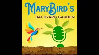 S2E22 The Buzz about Bees, Backyard Photography, and Tradescantia plant!