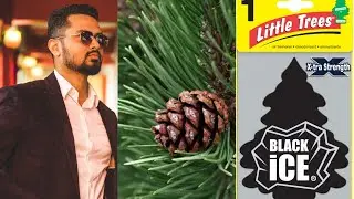 Little Trees Black Ice | Лучший в мире парфюм для автомобиля |