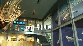 Tourism Massachusetts: New Bedford