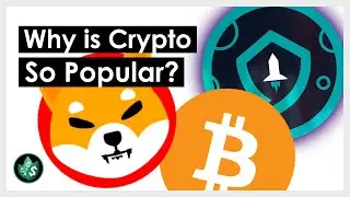 Why is Crypto so Popular? (Explained)