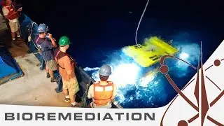 Breaking down ocean waste with bioremediation - Discovery 2.01