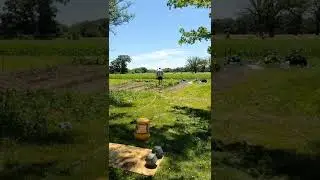 Farmer's walk 70lb dumbbells,  61 years old