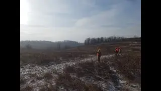 Pheasant Hunt 2020