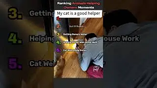 BEST ANIMALS HELPING OWNERS VIDEOS! 😊😊
