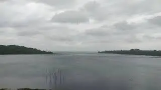 📍chilika lake  train view #travel#trending #nature #love #video #rainyday #soundeffect