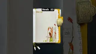 Week 22 -  May 2025 Journal Decorations. #journaling  #planwithme #journalwithme #plannerlayout