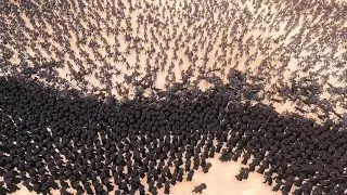 5 000 SCARECROWS VS 5 000 HALLOWMANS | Ultimate Epic Battle Simulator (UEBS)