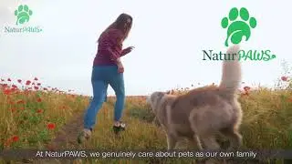 NaturPAWS - Omega 3 Softgels for Dogs and Cats