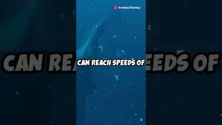 #OrcaVsDelphin   #KillerWhaleVsDolphin  #OceanShowdown  #WhaleWars  #SeaFight #OrcaPower Top10 Facts