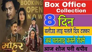 Mohar - 8th Day Box Office Collection || Mohar Movie Collection || Paul Shah, Niti Shah, Benisha 